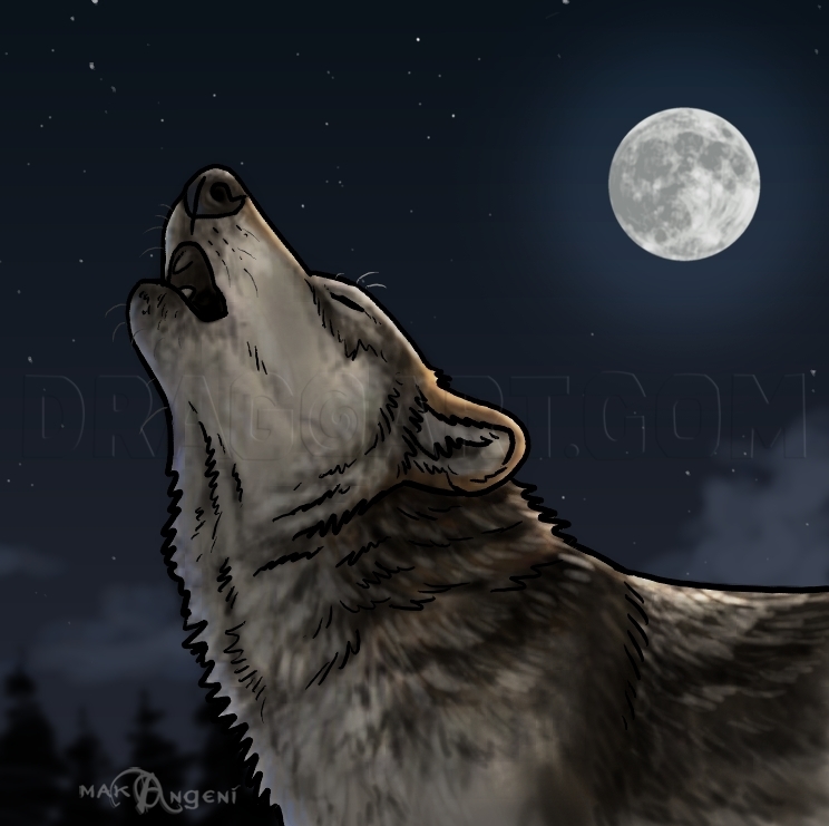 pencil sketches of wolves howling at the moon