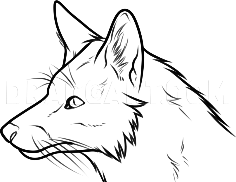 Easy How to Draw a Fox Face Tutorial and Fox Coloring Page