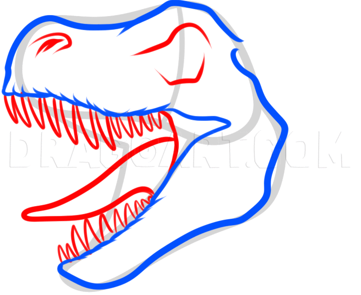 How To Draw A Trex Head, Step by Step, Drawing Guide, by Dawn DragoArt