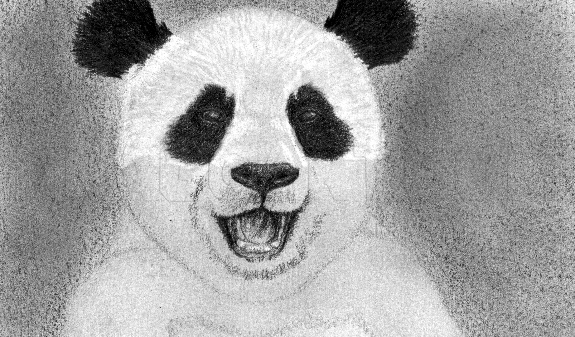 How to Draw a Realistic Panda, Draw Real Panda, Step by Step, Realistic,  Drawing Technique, FREE Online Drawing Tuto…