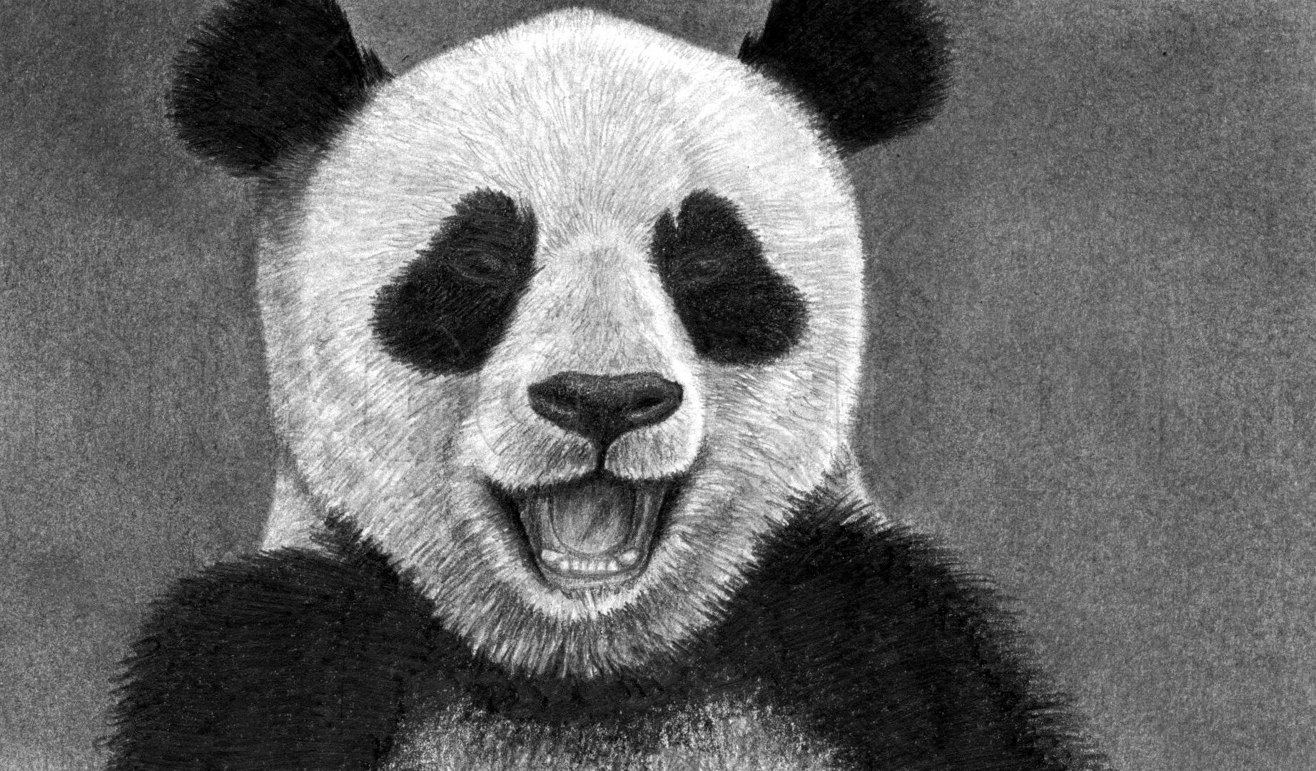 How to draw panda 