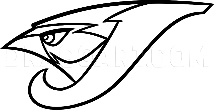 Line Art Blue Jay Logo