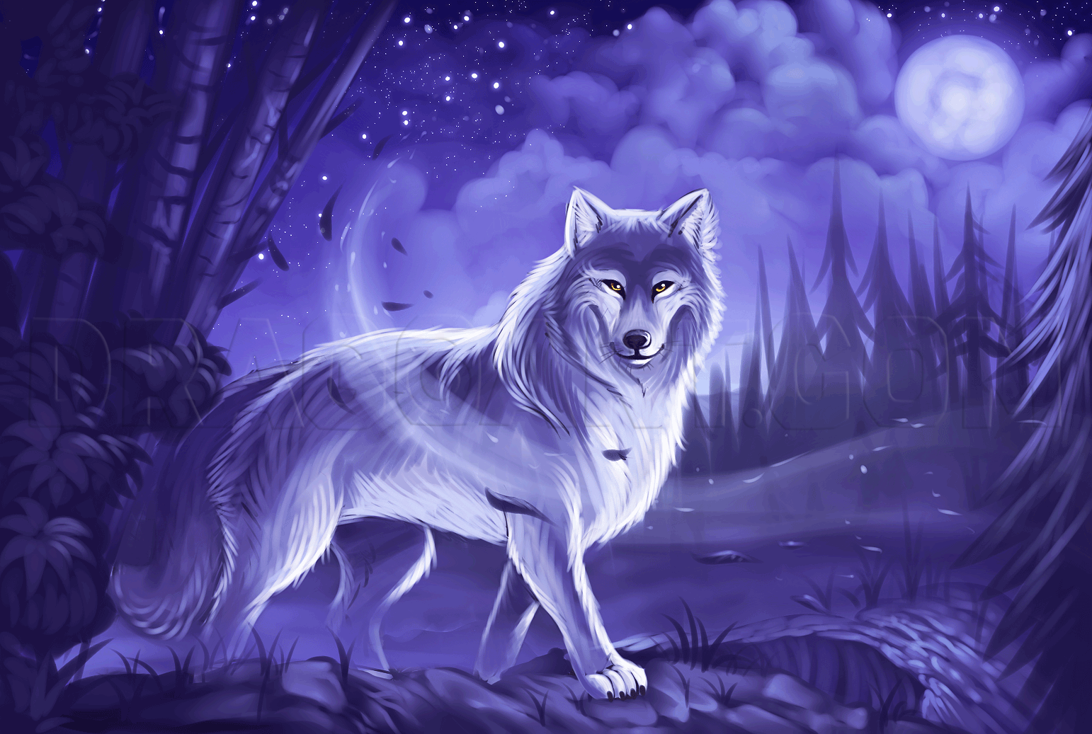 How to Draw a Gray Wolf, Timber wolf by Dawn | dragoart.com