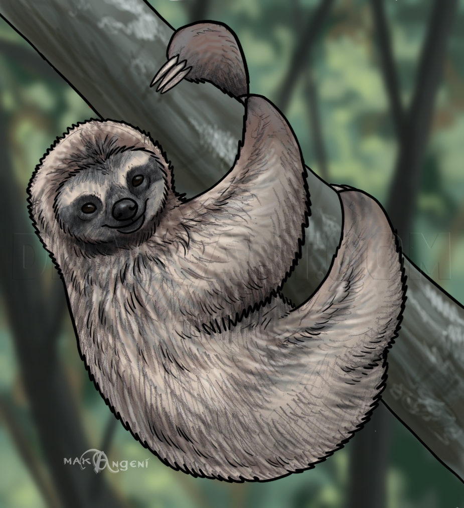 How To Draw Sloths, Step by Step, Drawing Guide, by makangeni