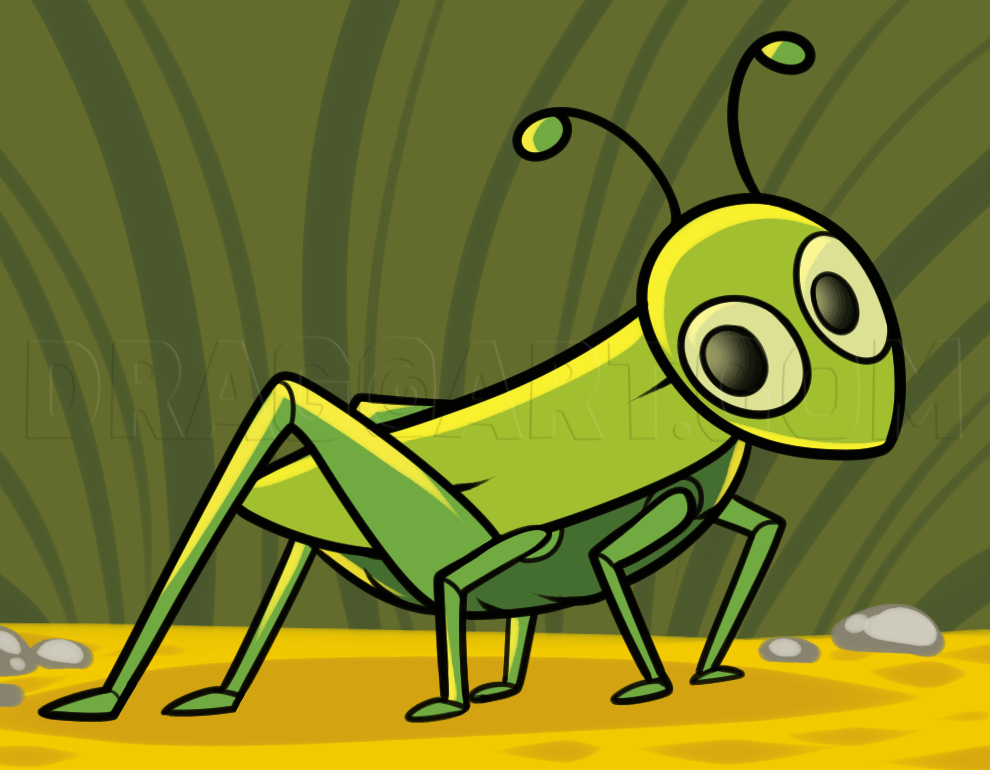 grasshopper drawing