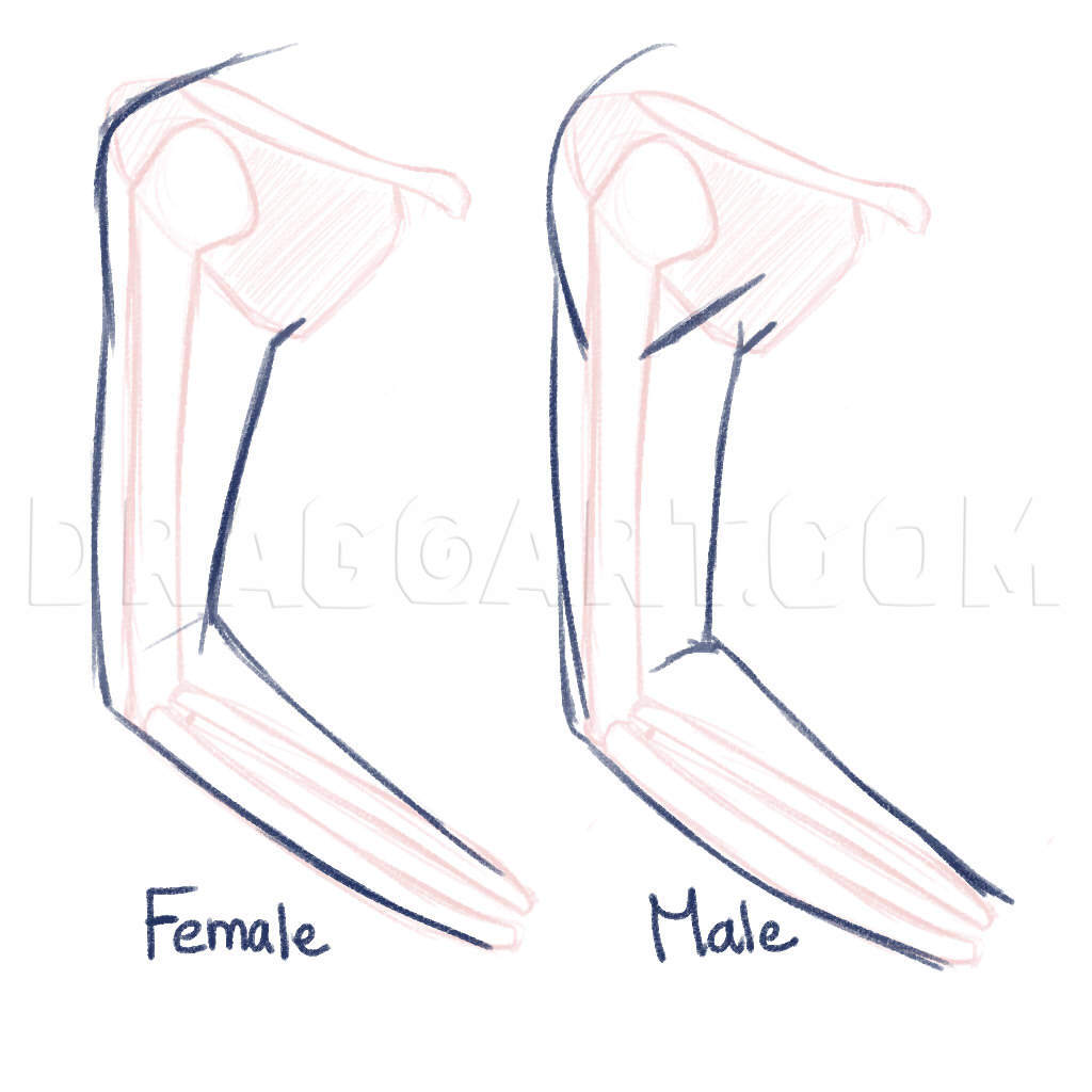 how to draw anime arms