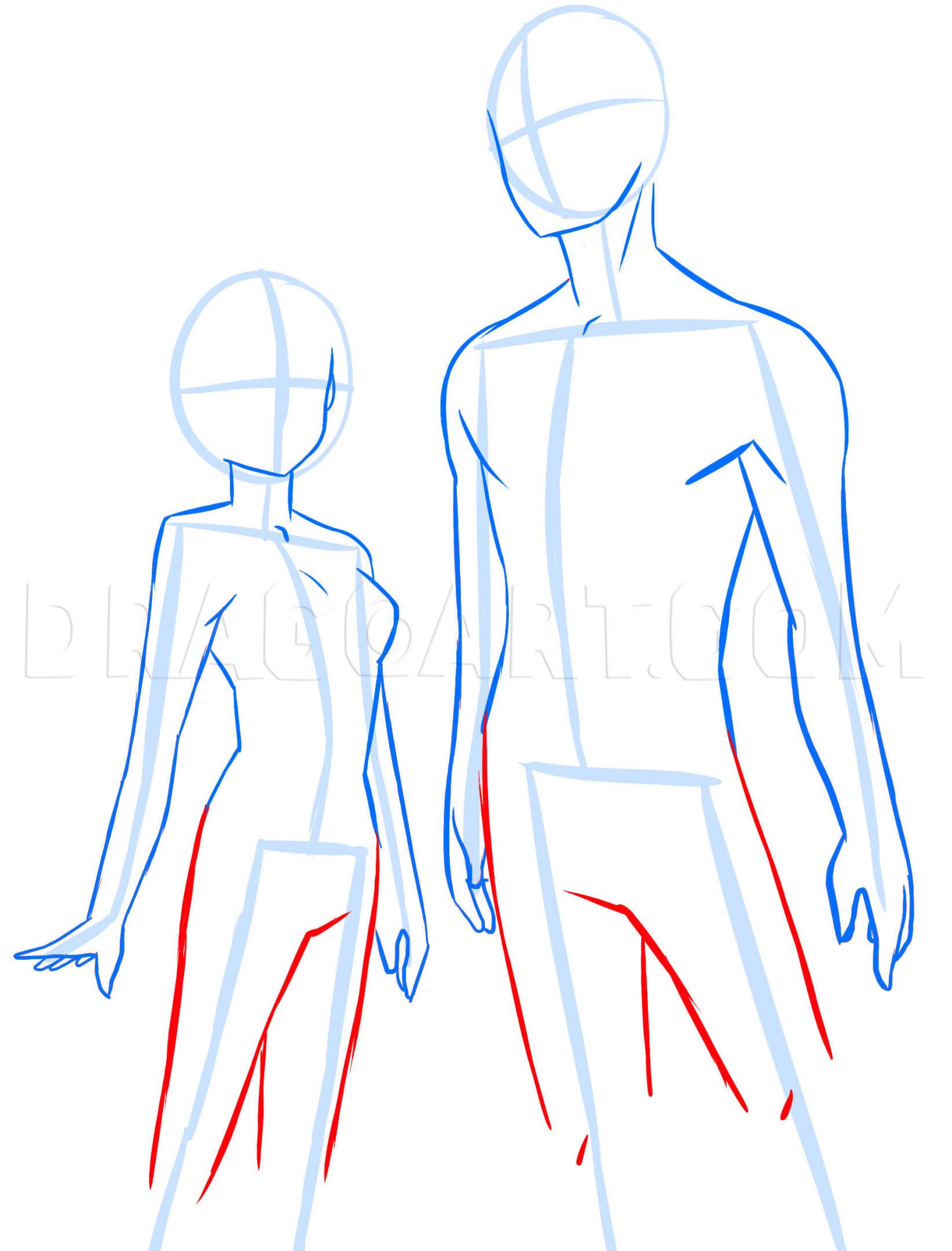 How to draw Anime Basic Anatomy'' (Anime Drawing Tutorial for Beginners) 