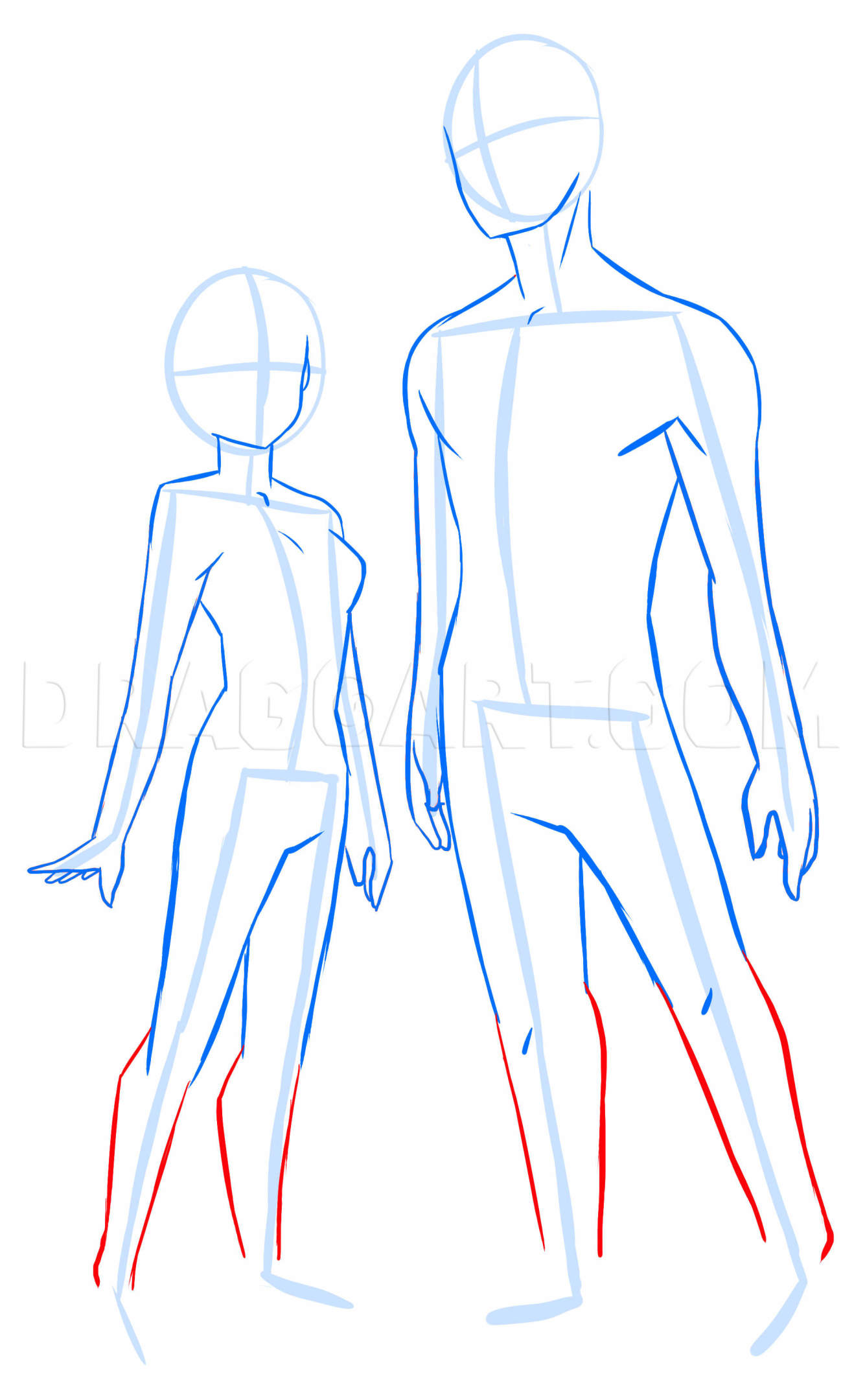 How To Draw Anime Anatomy, Easy Tutorial, 25 Steps - Toons Mag