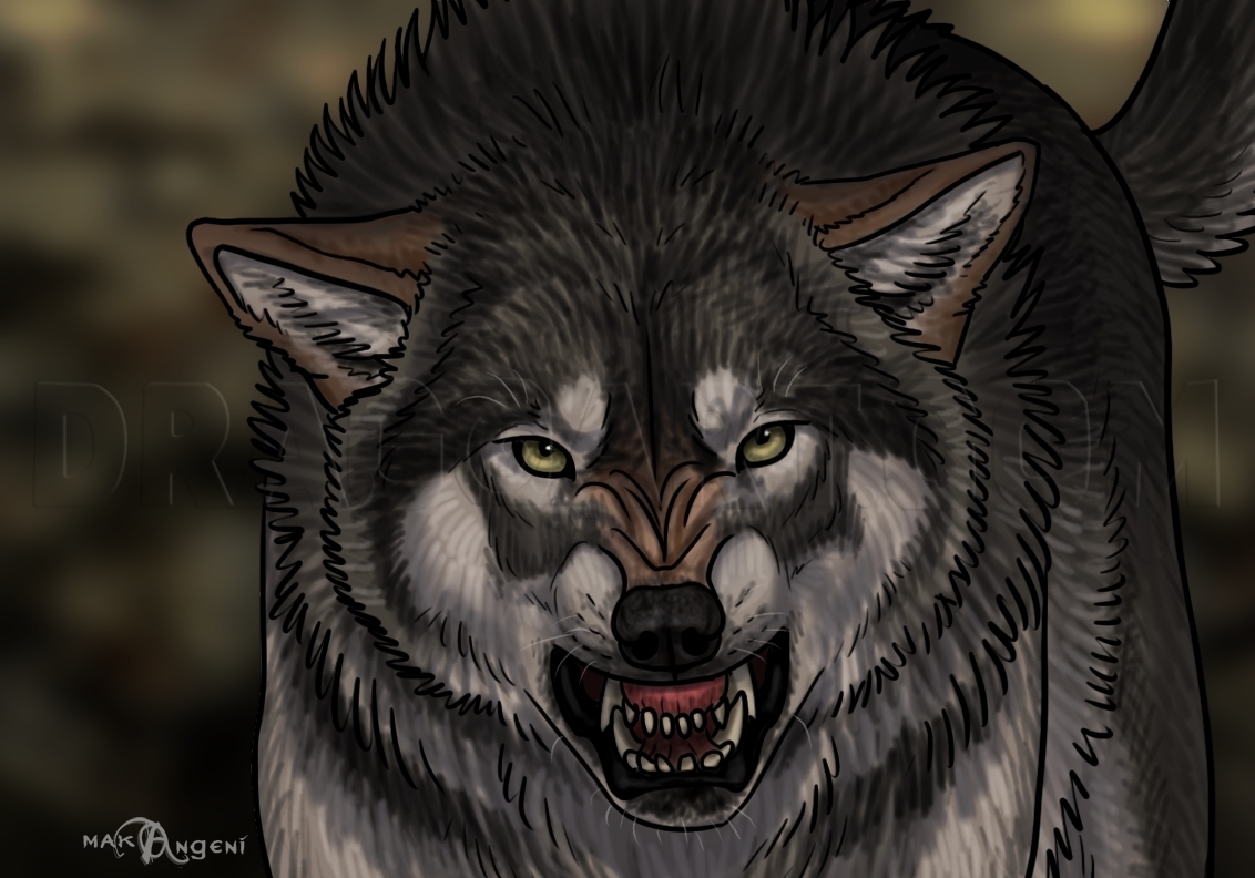 realistic drawings of wolves growling