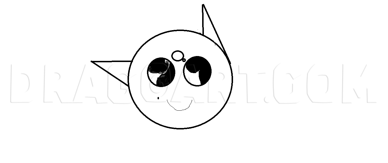 cute cat