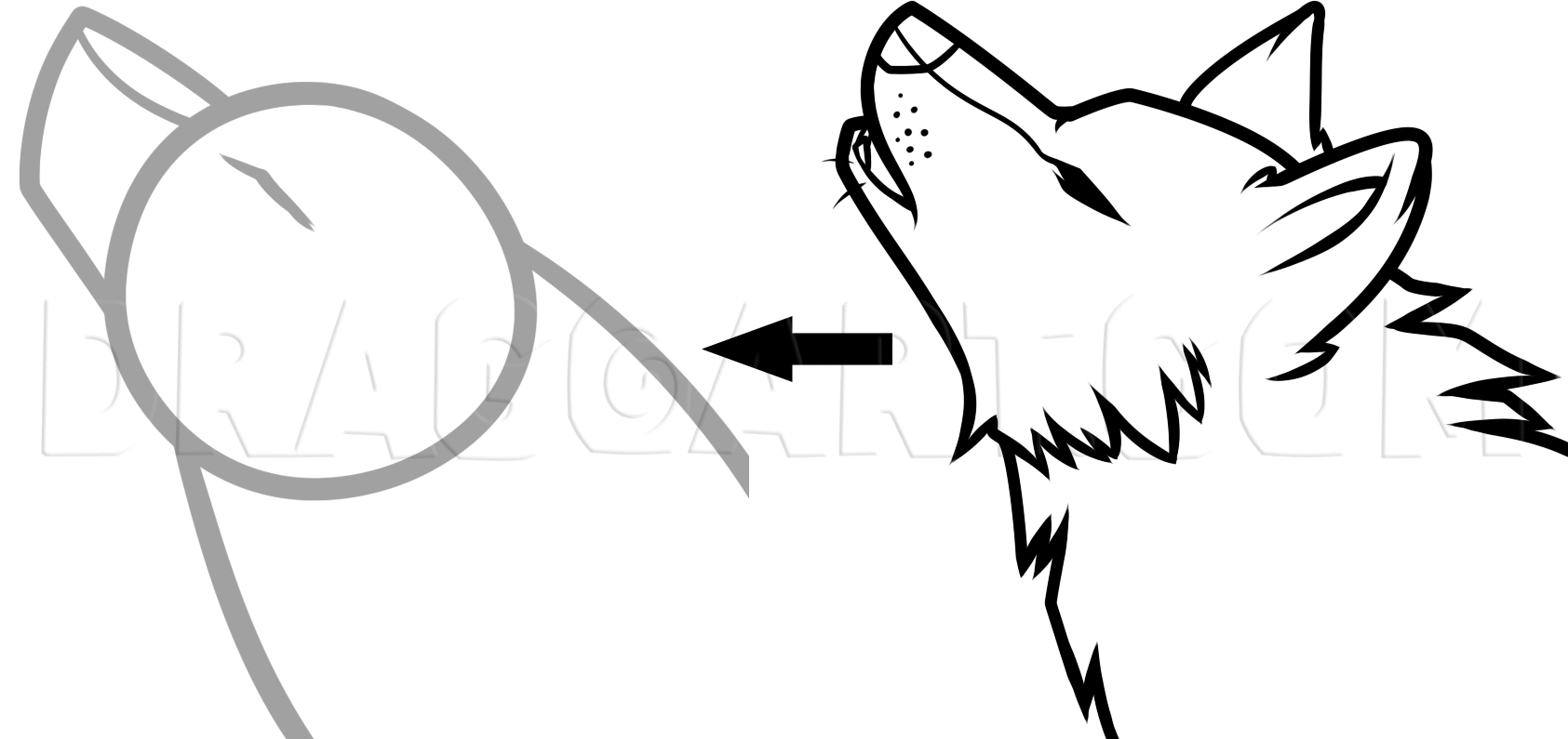 How To Draw A Howling Wolf Easy Step By Step Drawing Guide By Dawn Dragoart Com