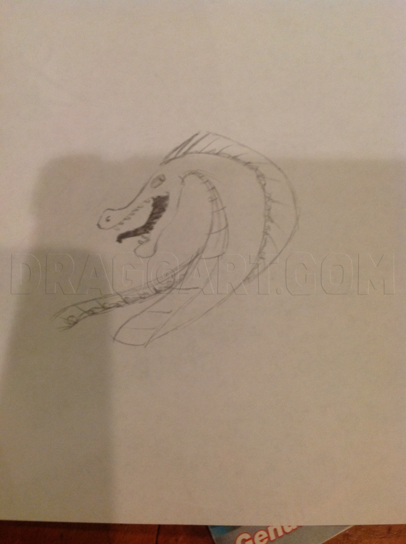 How to draw a Dragon Head