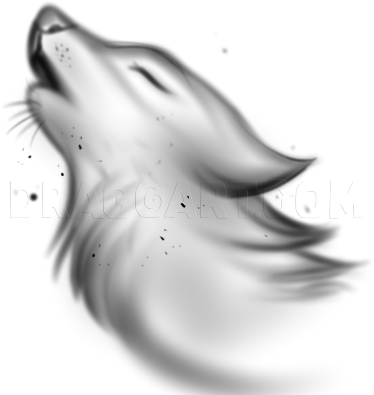 wolf drawings to trace