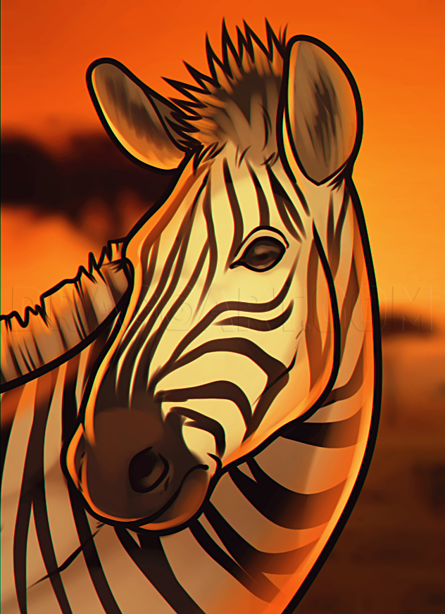 zebra drawing step by step