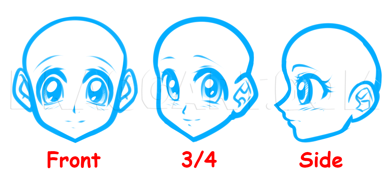 How To Draw An Anime Face For Beginners, Step by Step, Drawing Guide