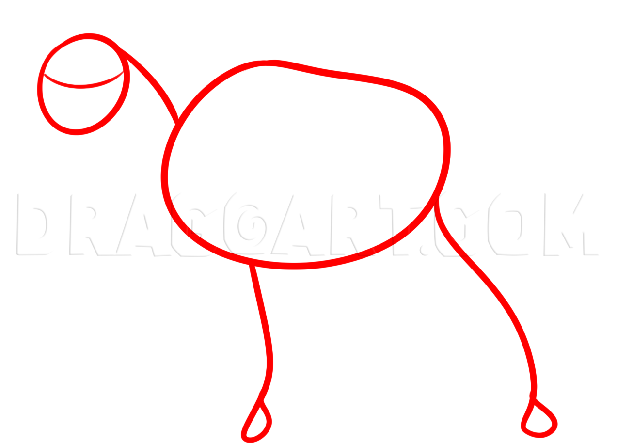 How To Draw A Horse For Beginners, Step by Step, Drawing Guide, by Dawn