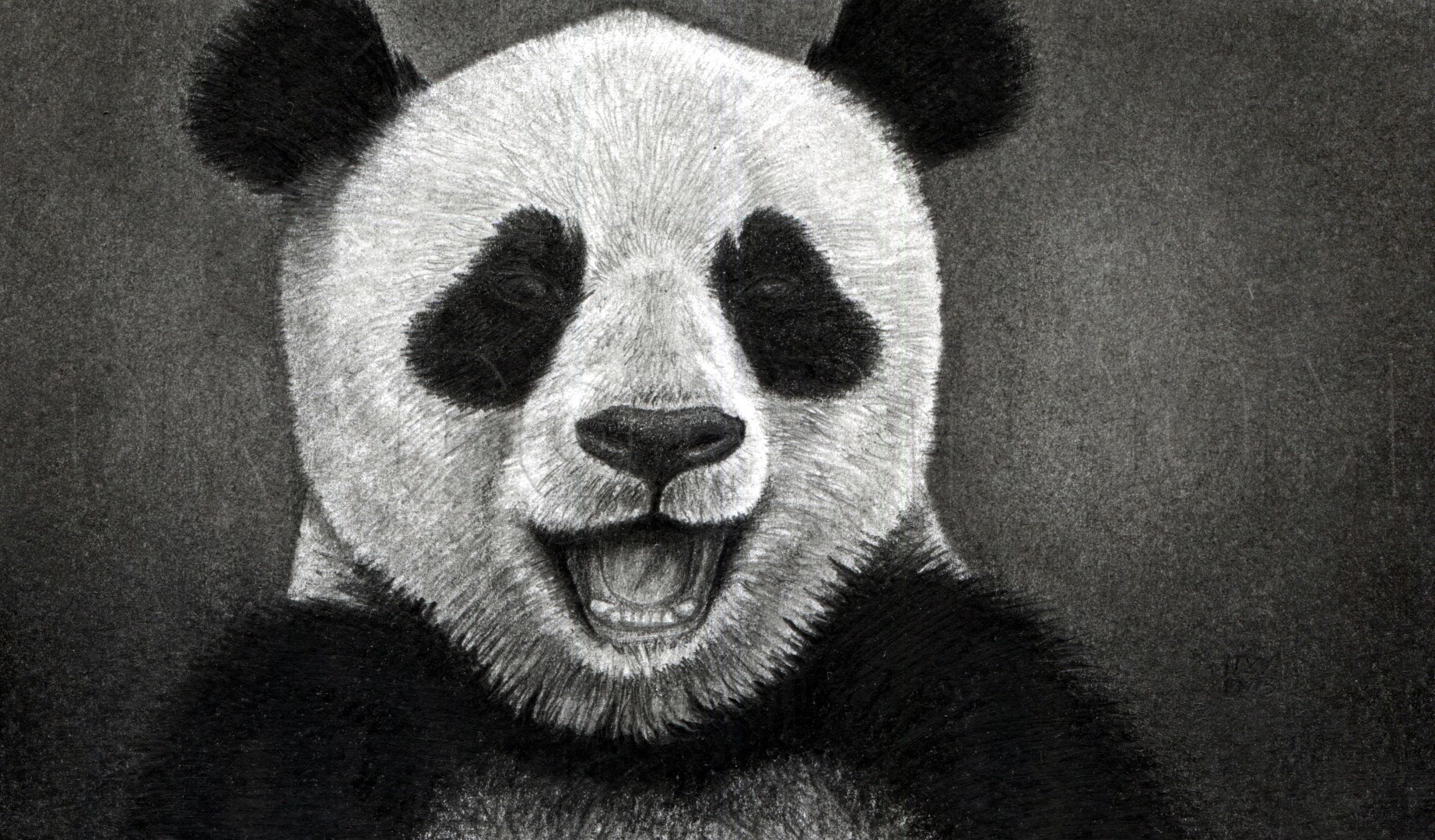 How To Draw A Happy Panda Step By Step Drawing Guide By Finalprodigy Dragoart Com