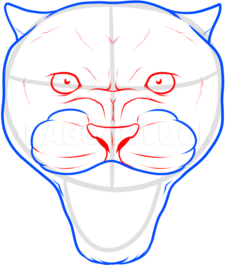 panther face outline