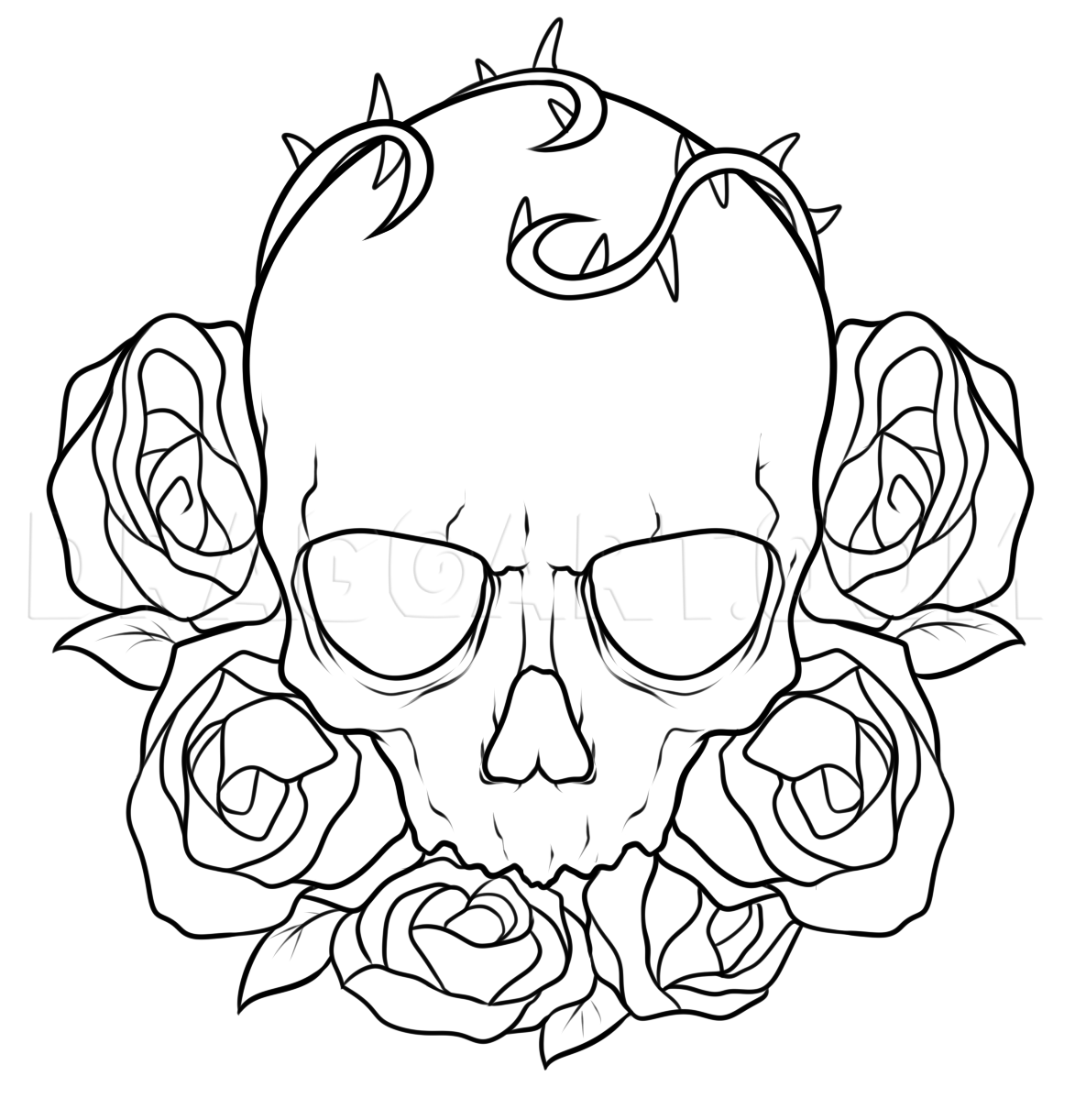 cool drawings of roses and skulls