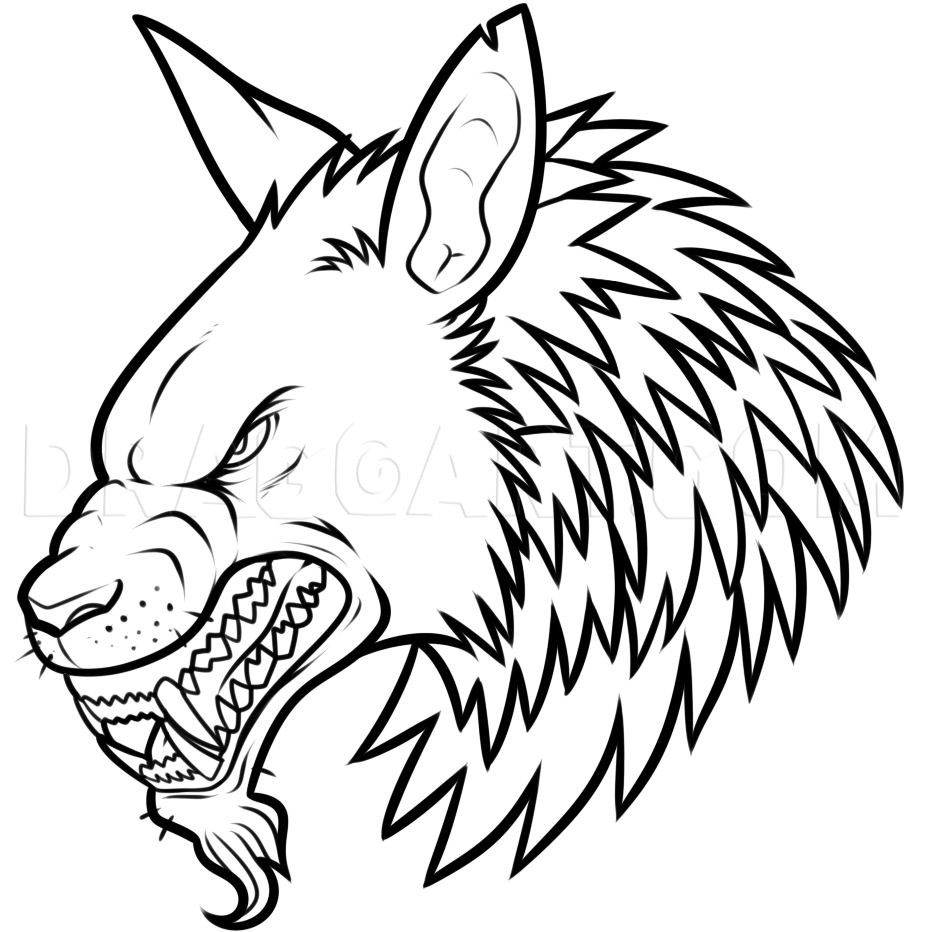 How To Draw A Werewolf Head, Step by Step, Drawing Guide, by Dawn