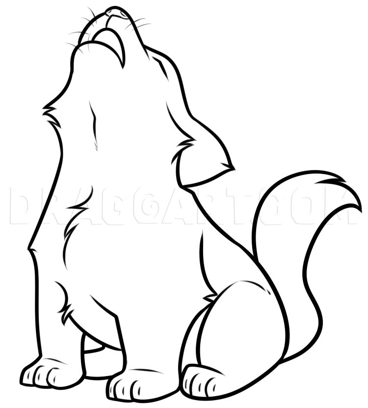 Featured image of post Cute Wolf Drawings Easy / Draw a half circle encompassing the fur lines just drawn.