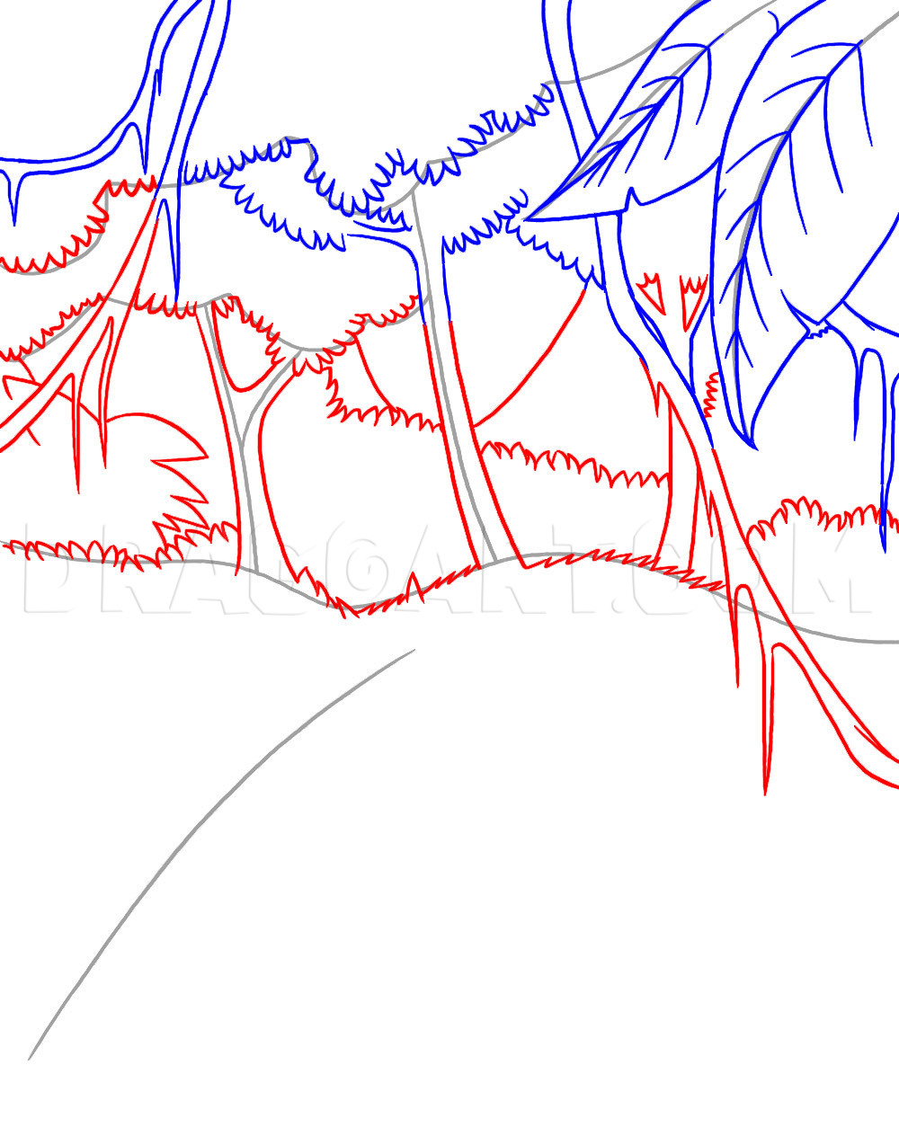 tropical rainforest trees drawing