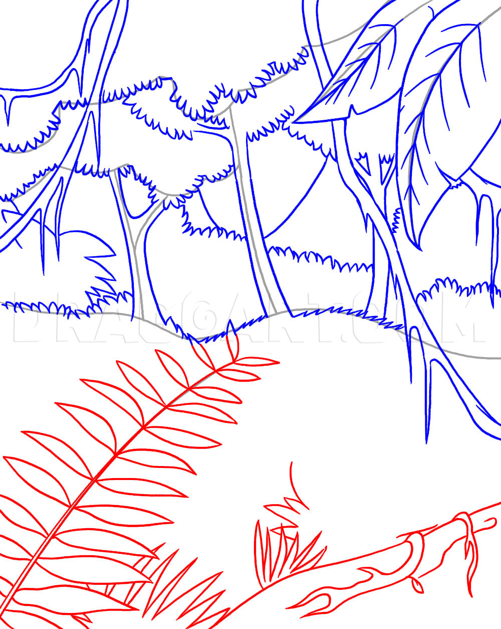 simple rainforest drawings