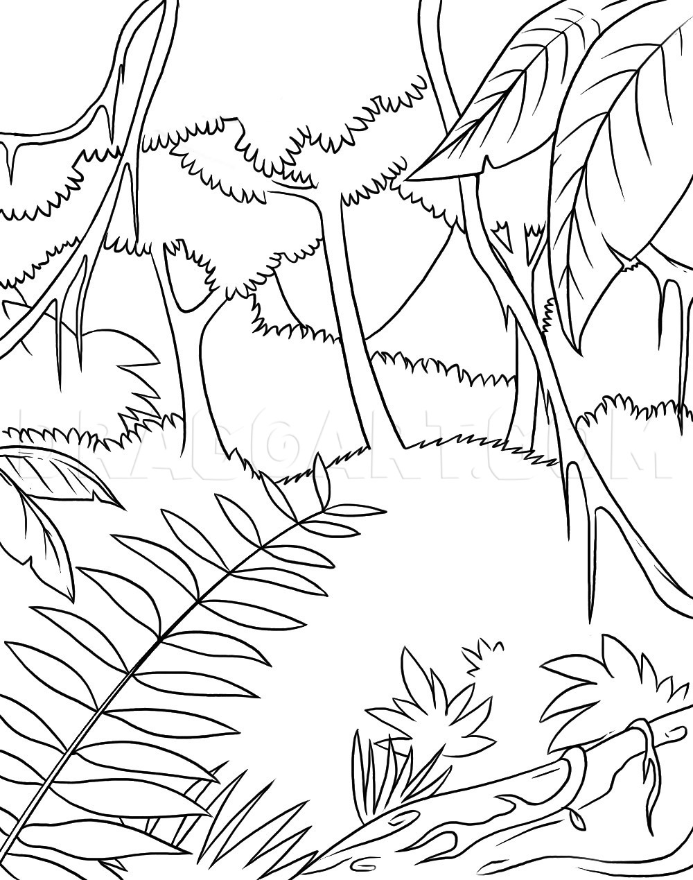 simple rainforest drawings