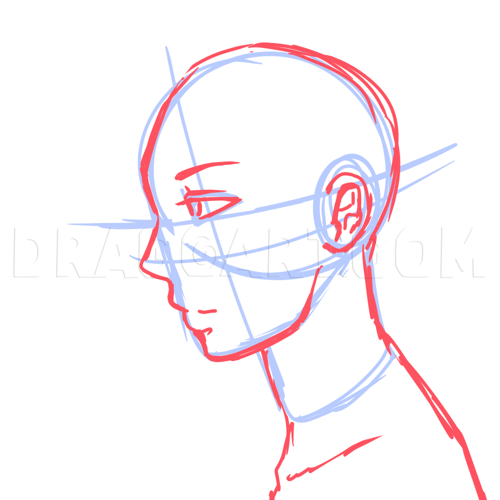 How to Draw the Head and Face – Anime-style Guideline Side View