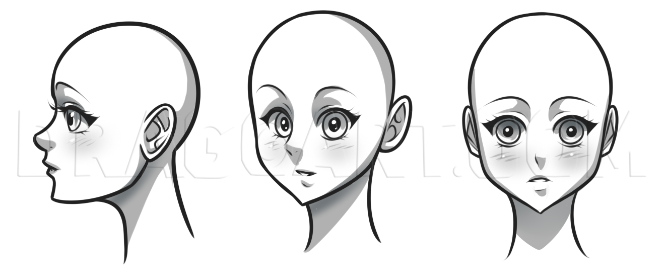 anime girl head structure