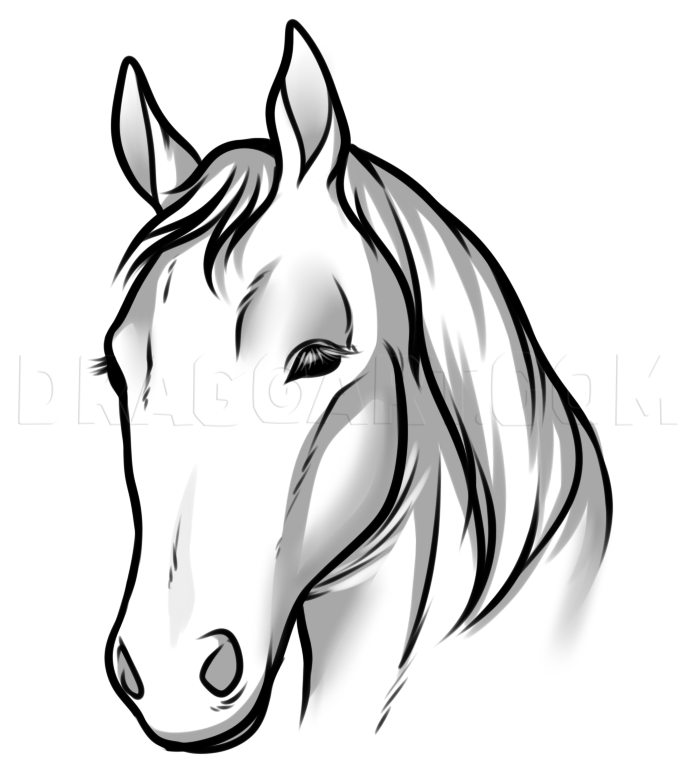 horse head drawings clip art