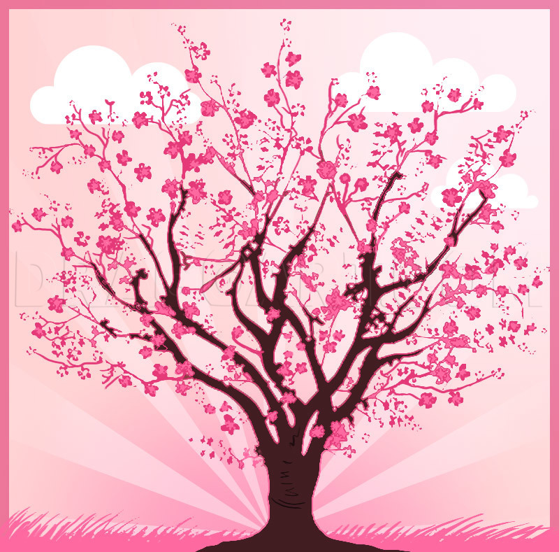 cherry blossom tree drawing outline