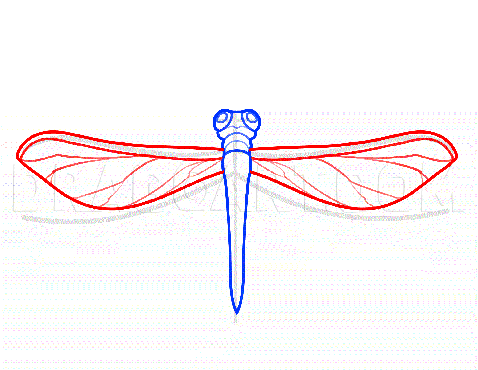 dragonfly wings drawings