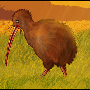 Featured image of post How To Draw A Kiwi Step By Step The joints and the direction of the bones