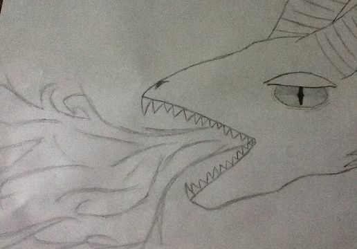 Rene2000 Feed Most Recent DragoArt