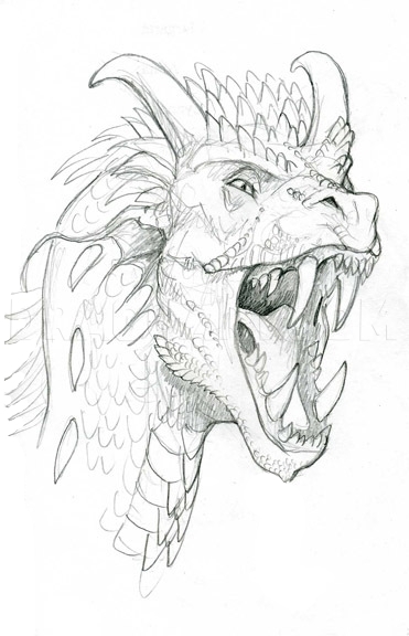 line drawings of dragon heads