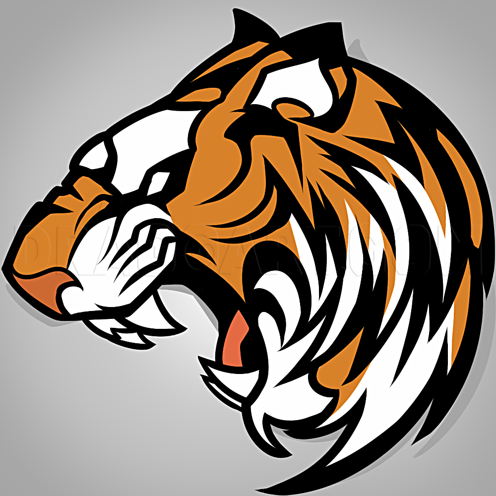 roaring tiger outline