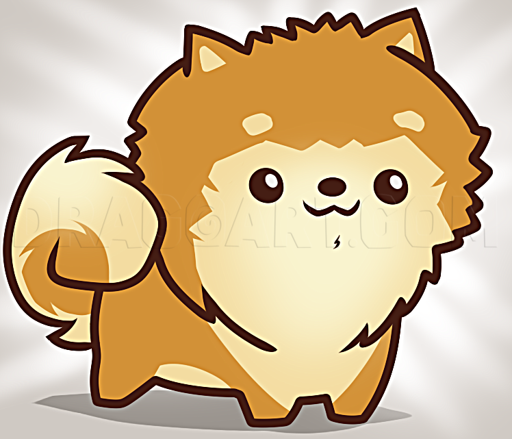 How To Draw Pomeranian Puppies How To Draw Pomeranian Puppies