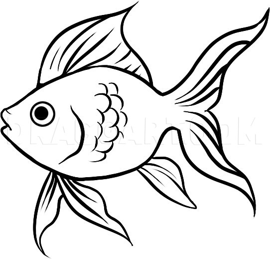 simple goldfish outline