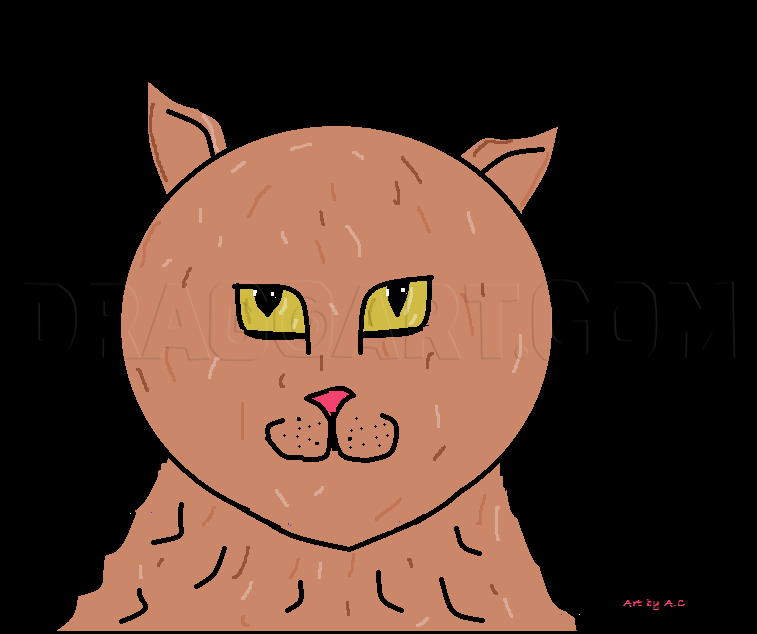easy cat