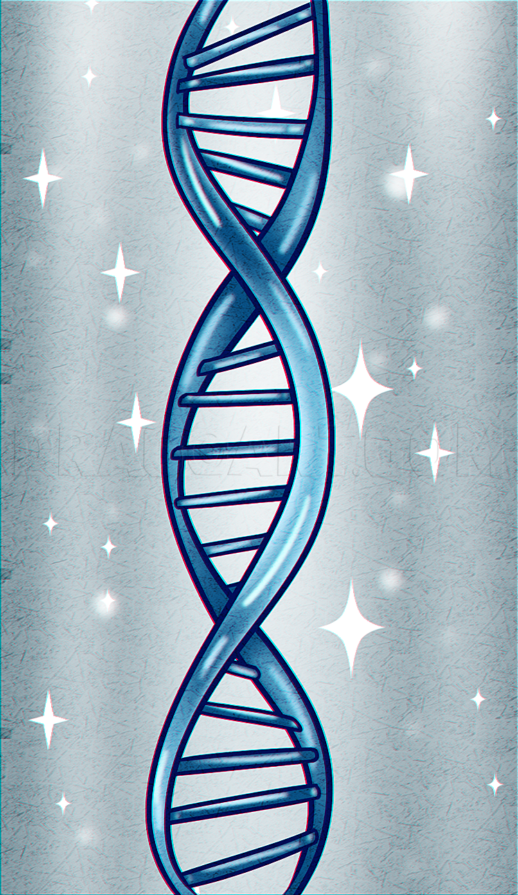 Dna Drawing Realistic