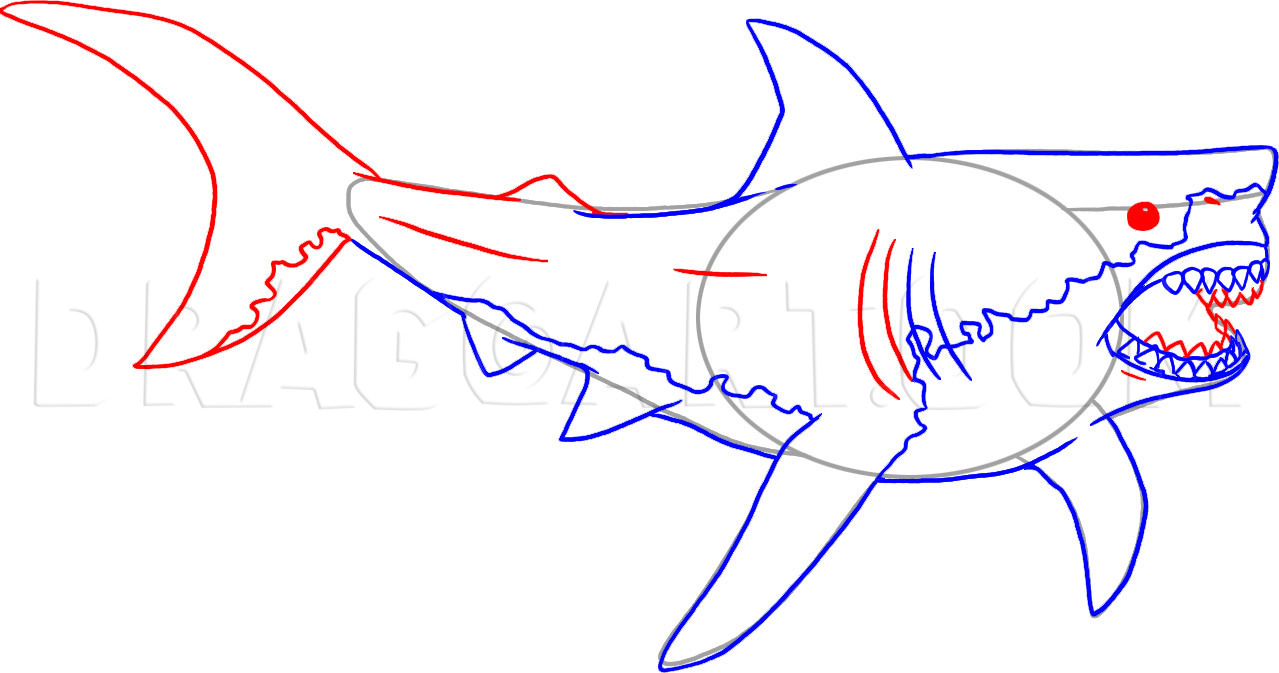 How To Draw Jaws by Dawn