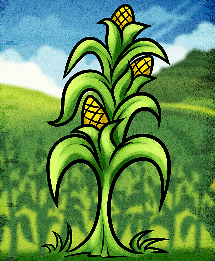 Amazing How To Draw Corn Stalks  Check it out now 