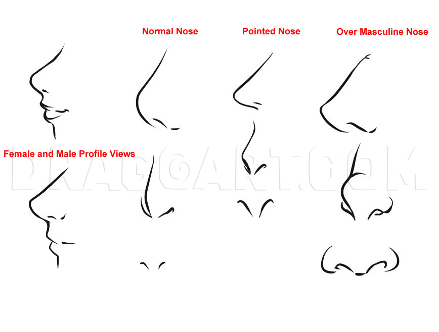 Anime Male Noses How To Draw Anime And Manga Facial Expressions Easy