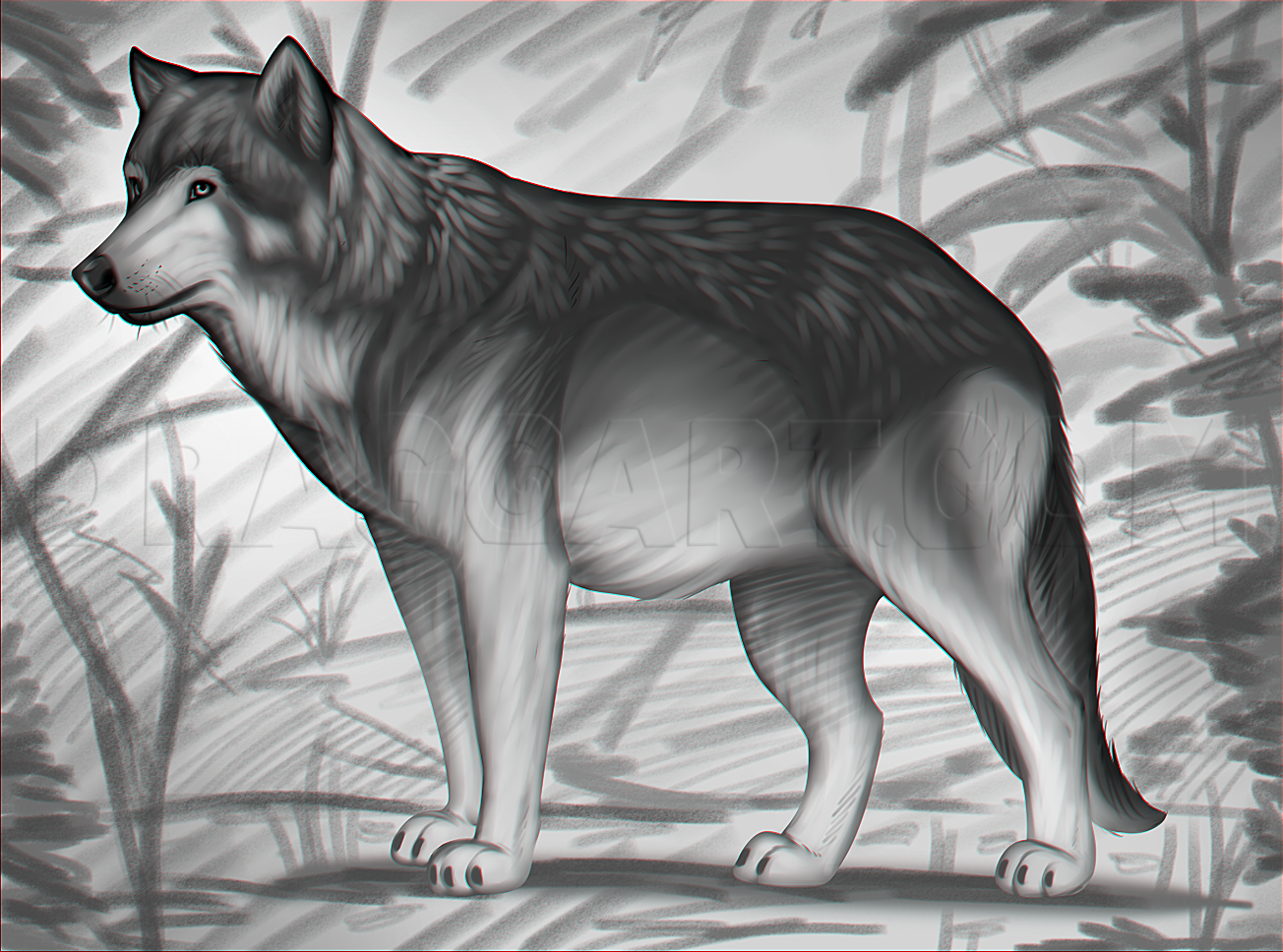 Featured image of post Wolf Drawing Easy Realistic