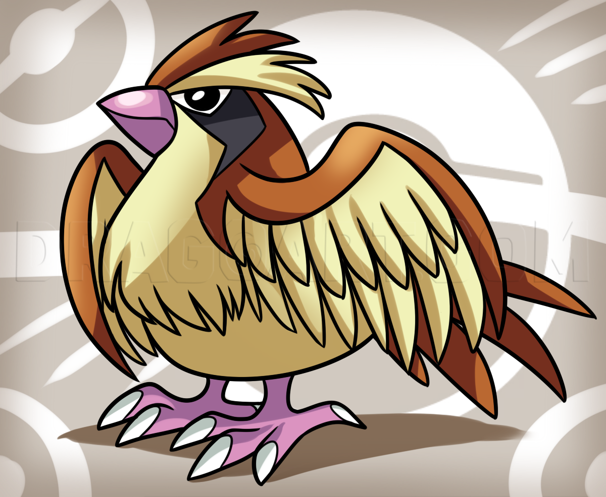 How to Draw Pidgey