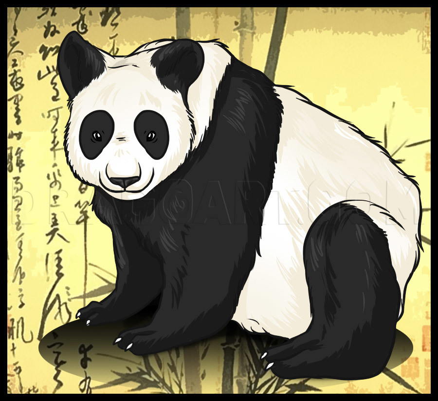 HOW TO DRAW BEAR PANDA FOUND AND EASY / BEAUTIFUL DRAWINGS - Drawing to  Draw 