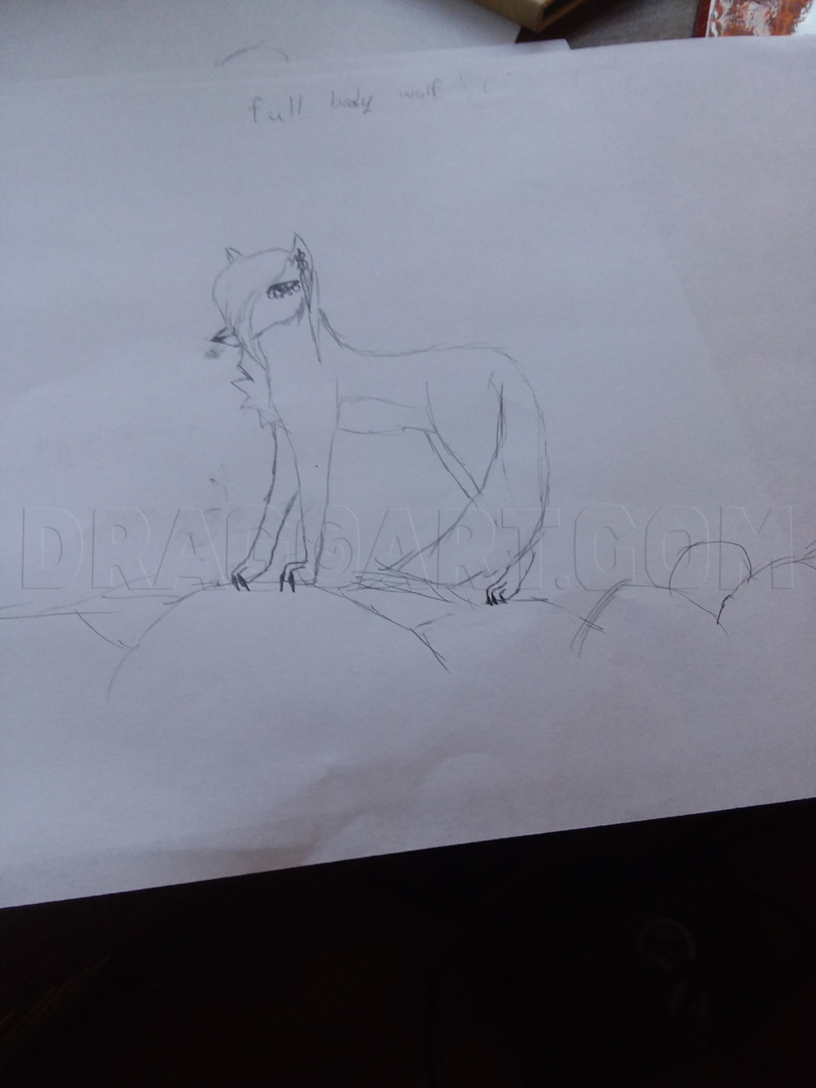 How to draw wolves part two