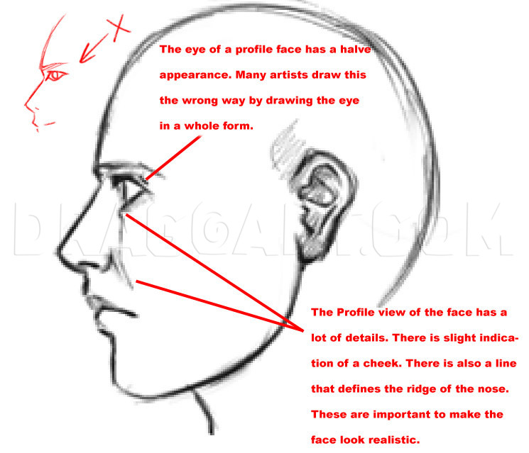 how to draw a realistic face side view