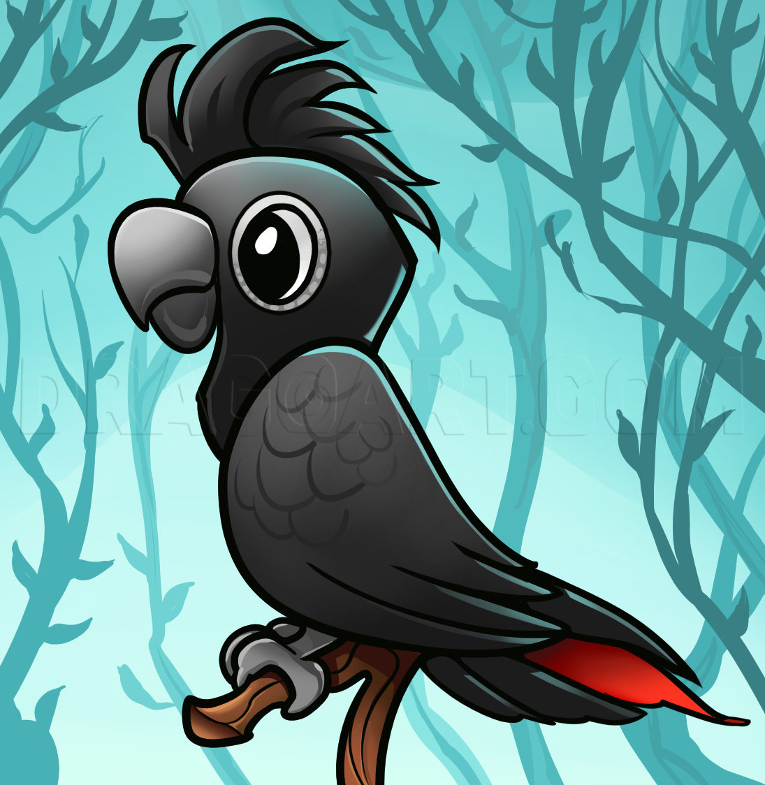 How To Draw A Red-tailed Black Cockatoo, Step by Step, Drawing Guide